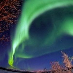 Meet your Posher, Raquelita